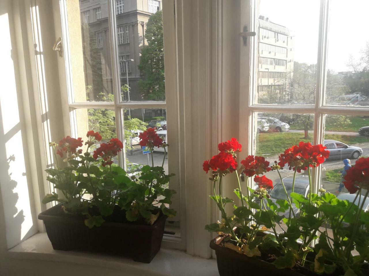 Apartment Lea Lux Beograd Bagian luar foto